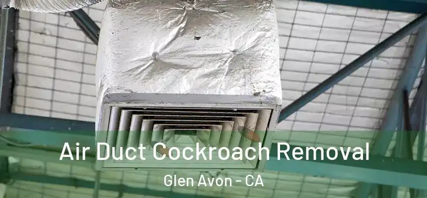  Air Duct Cockroach Removal Glen Avon - CA