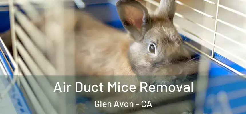  Air Duct Mice Removal Glen Avon - CA