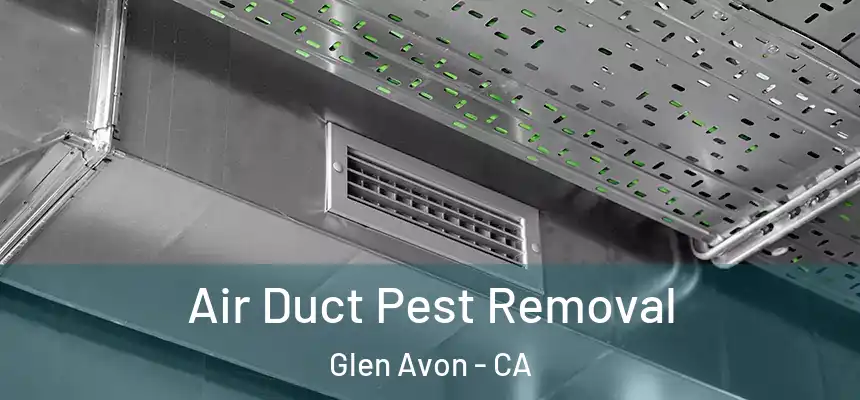 Air Duct Pest Removal Glen Avon - CA