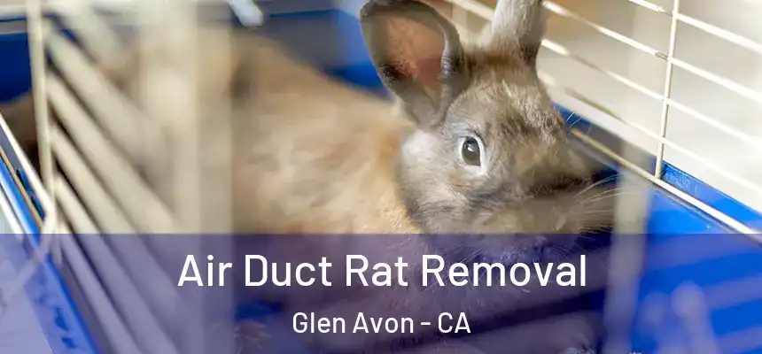  Air Duct Rat Removal Glen Avon - CA
