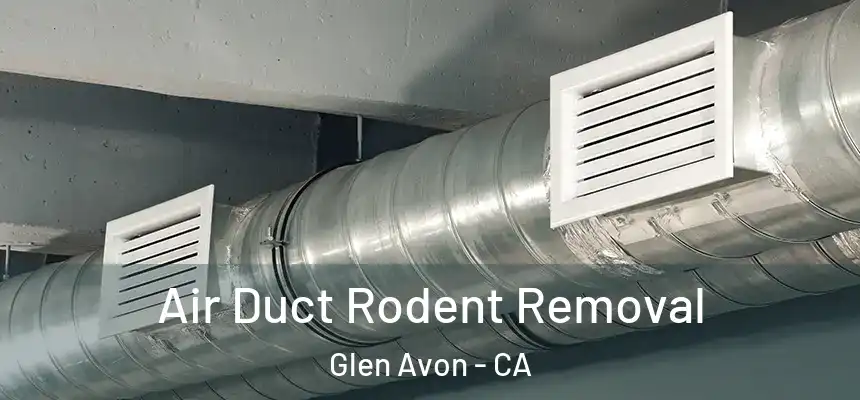  Air Duct Rodent Removal Glen Avon - CA