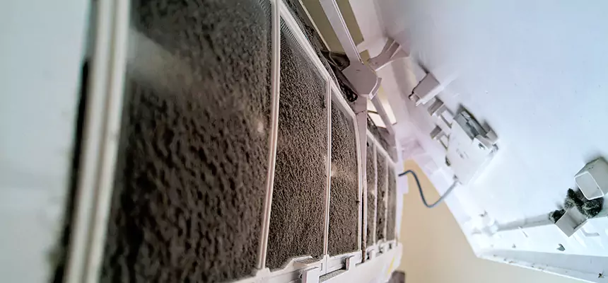 Preventive Air Duct Bacteria Removal in Glen Avon