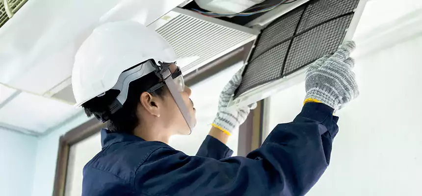 Our Mold & Mildew Removal from Air Ducts Services in Glen Avon, CA