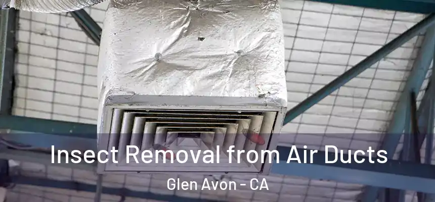  Insect Removal from Air Ducts Glen Avon - CA